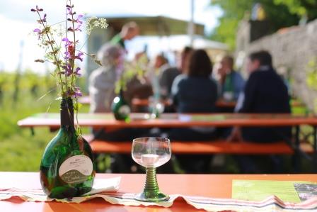 Weinfest im Weinberg mit Frühjahrsweinverkostung @ Weinberg, Saalecker Schlossberg | Hammelburg | Bayern | Deutschland