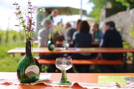 Weinfest im Weinberg