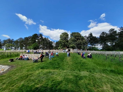 Picknick im Weinberg - Wein+Brotzeit