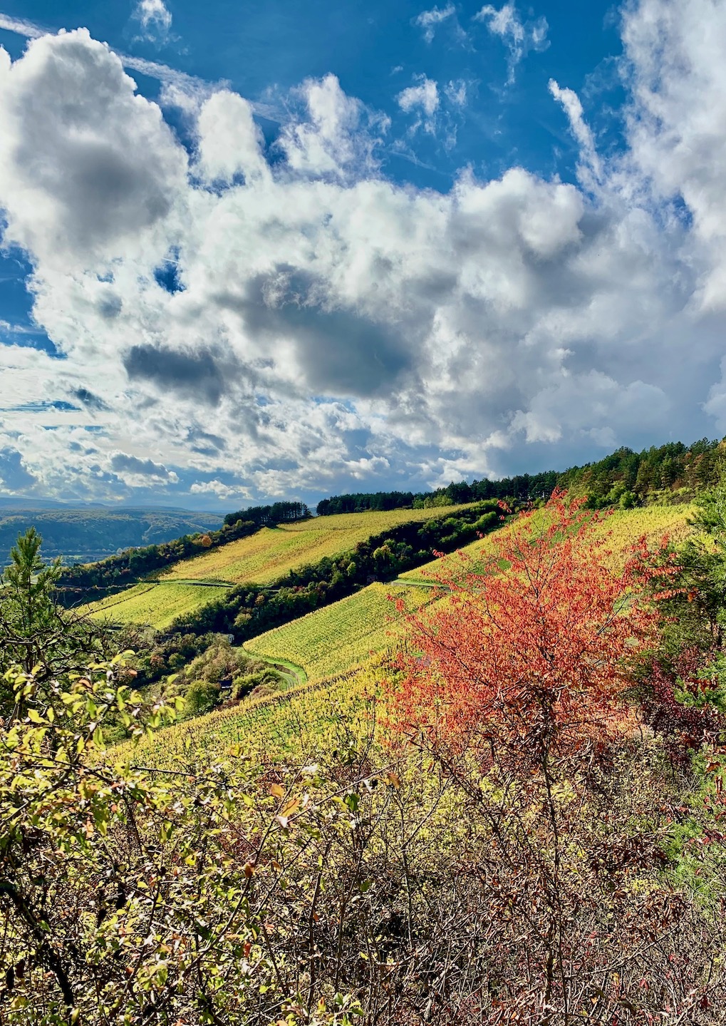 Eschenthal Heroldsberg Herbstimpession 1