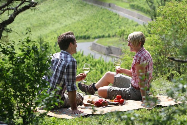 Picknick im Weinberg