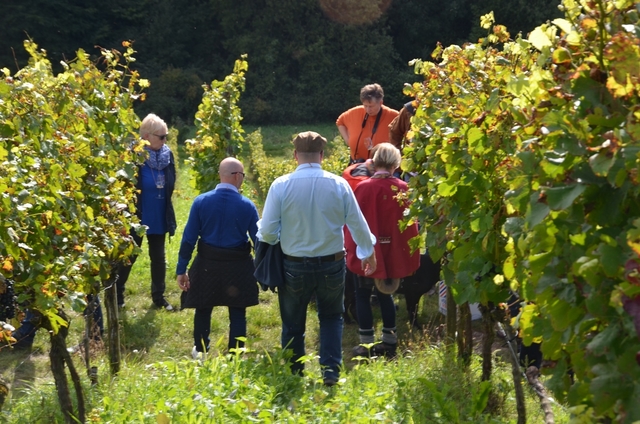 Wanderung in der Zeile