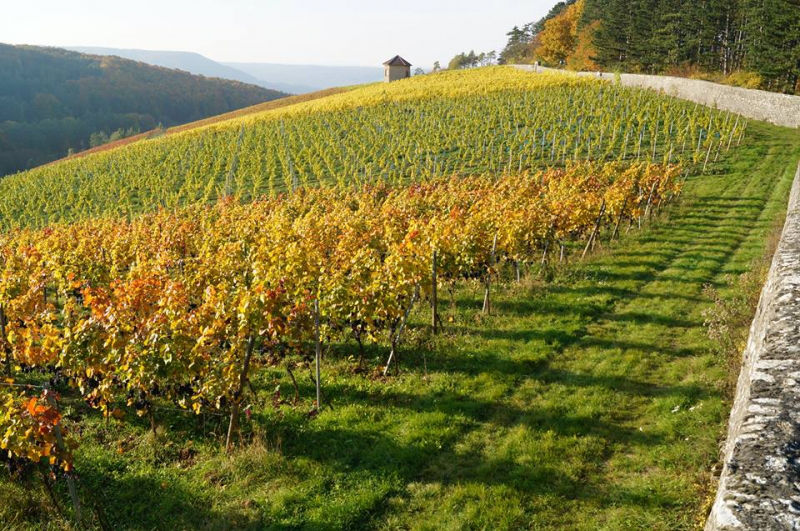 Schlossberg im Oktober