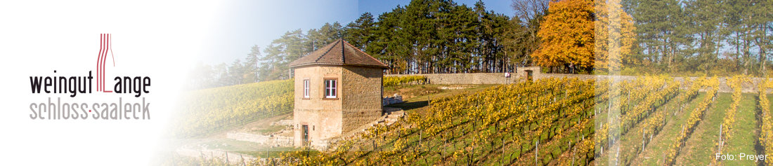 Weingut Impressionen 2019