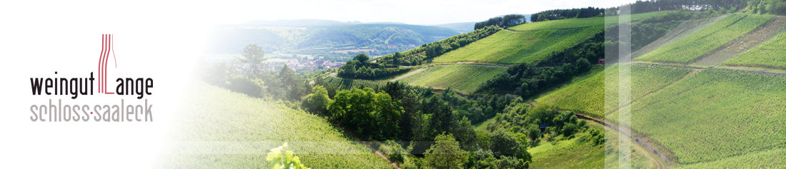 Weingut Weinblog 2019